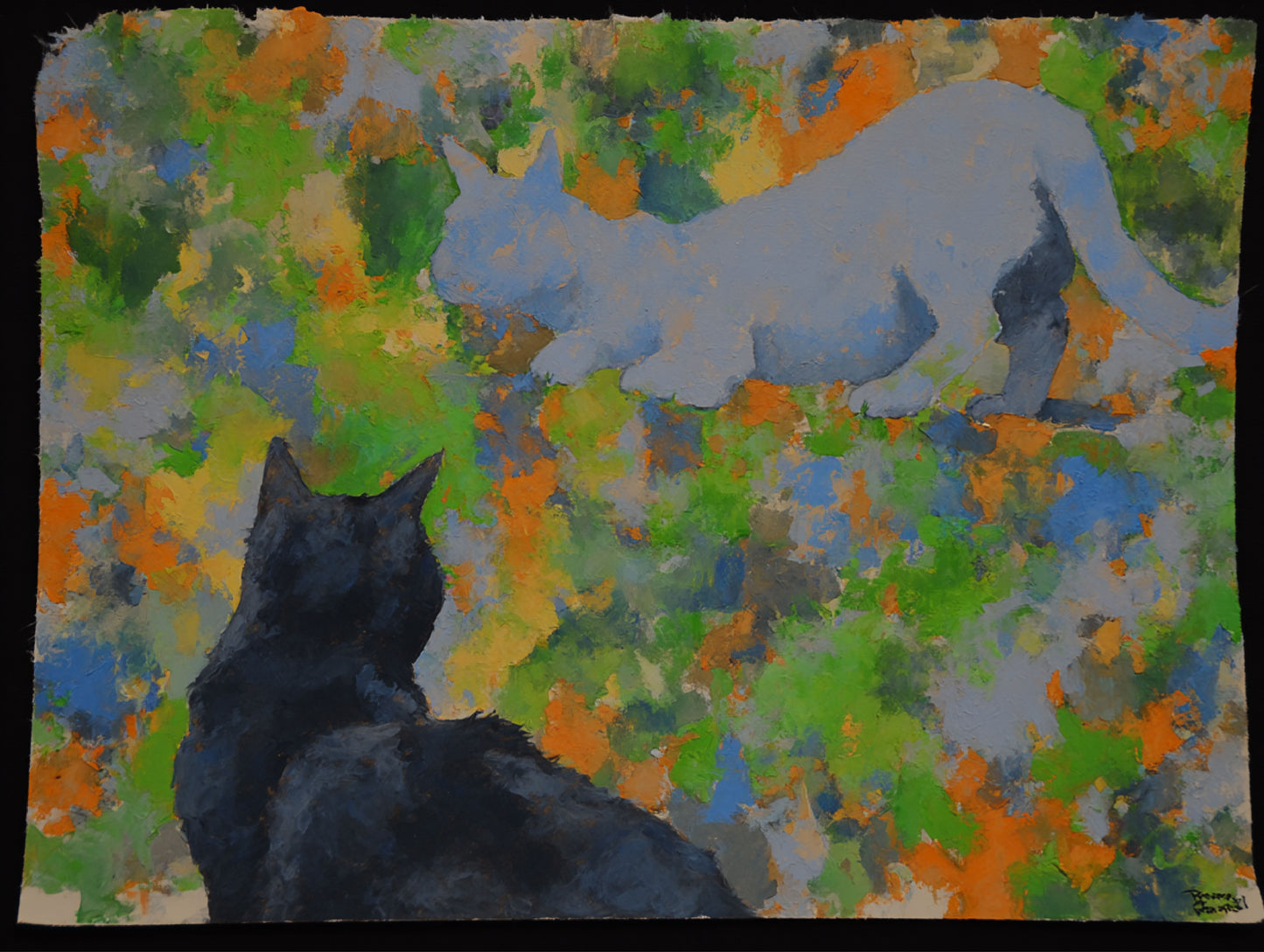 Cats 1
